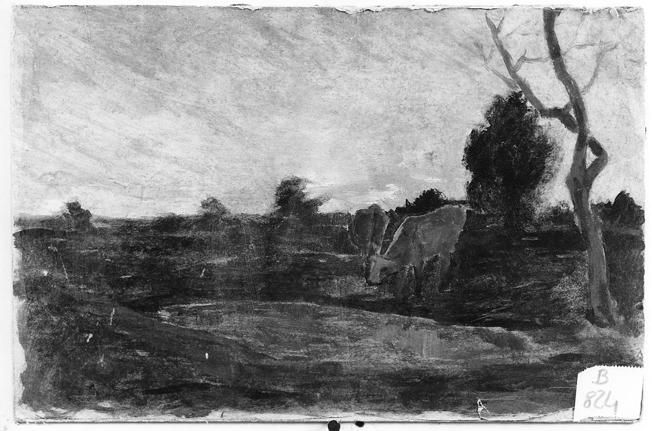 paesaggio con animali (dipinto) - ambito romano (seconda metà sec. XIX)