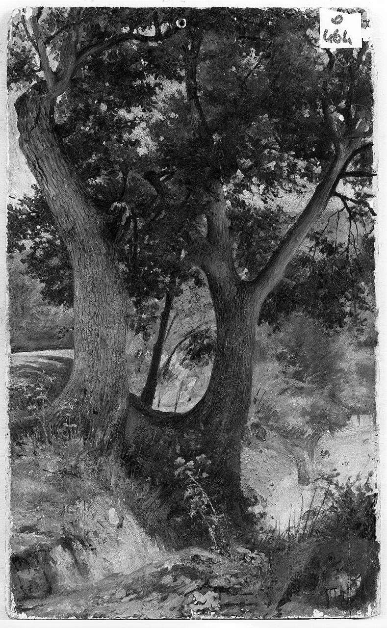 paesaggio con alberi (dipinto) - ambito romano (fine/inizio secc. XIX/ XX)