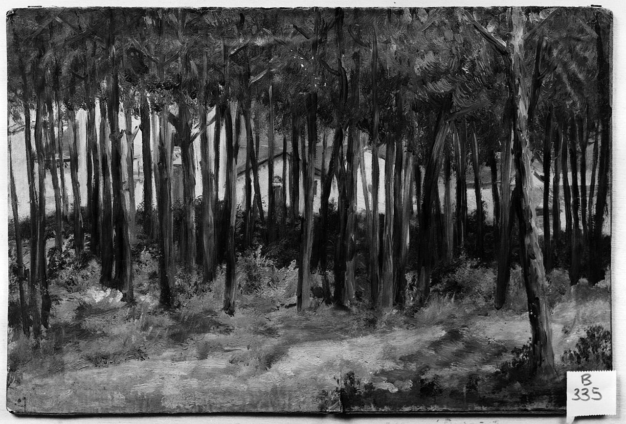 paesaggio con alberi (dipinto) - ambito romano (fine/inizio secc. XIX/ XX)