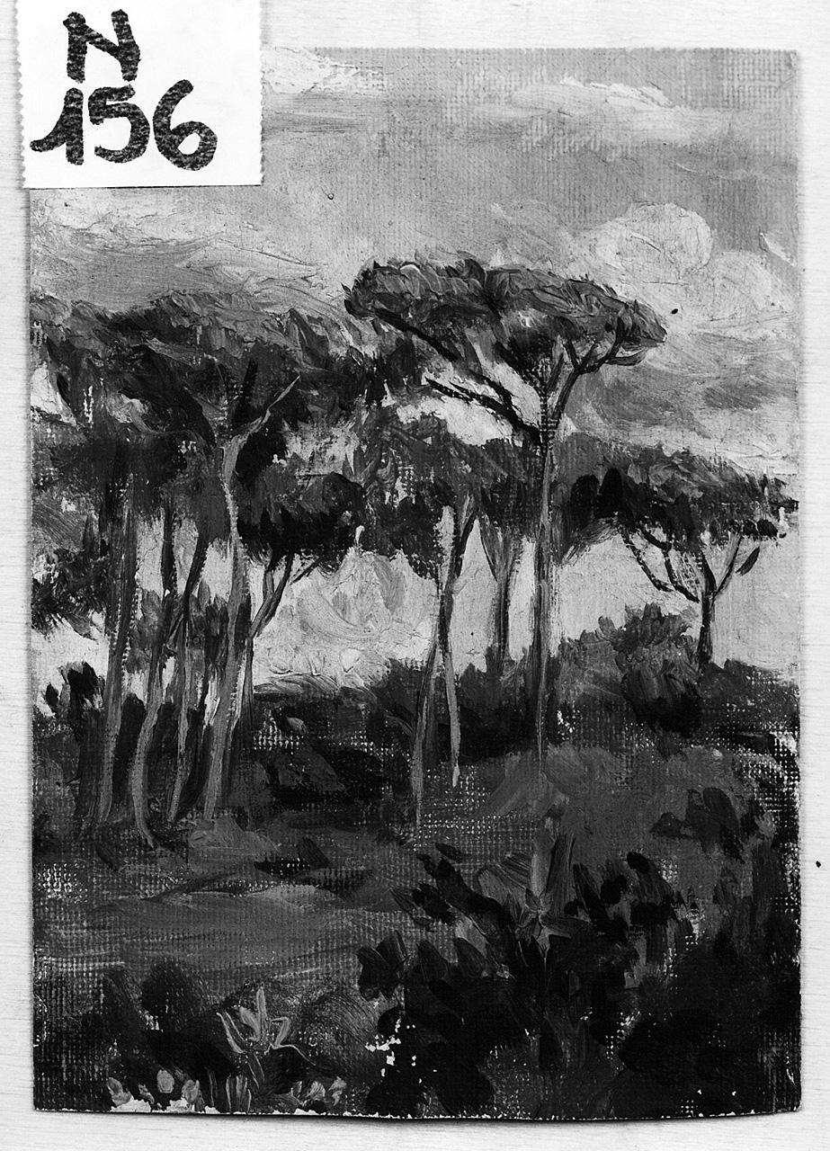 paesaggio con alberi (dipinto) - ambito romano (sec. XX)