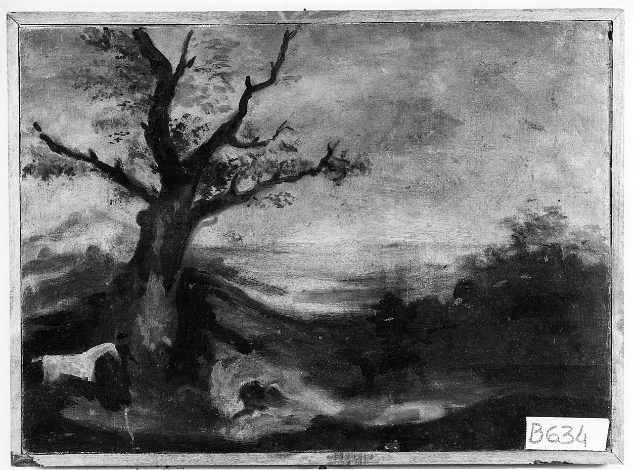 paesaggio con animali (dipinto) - ambito romano (ultimo quarto sec. XIX)