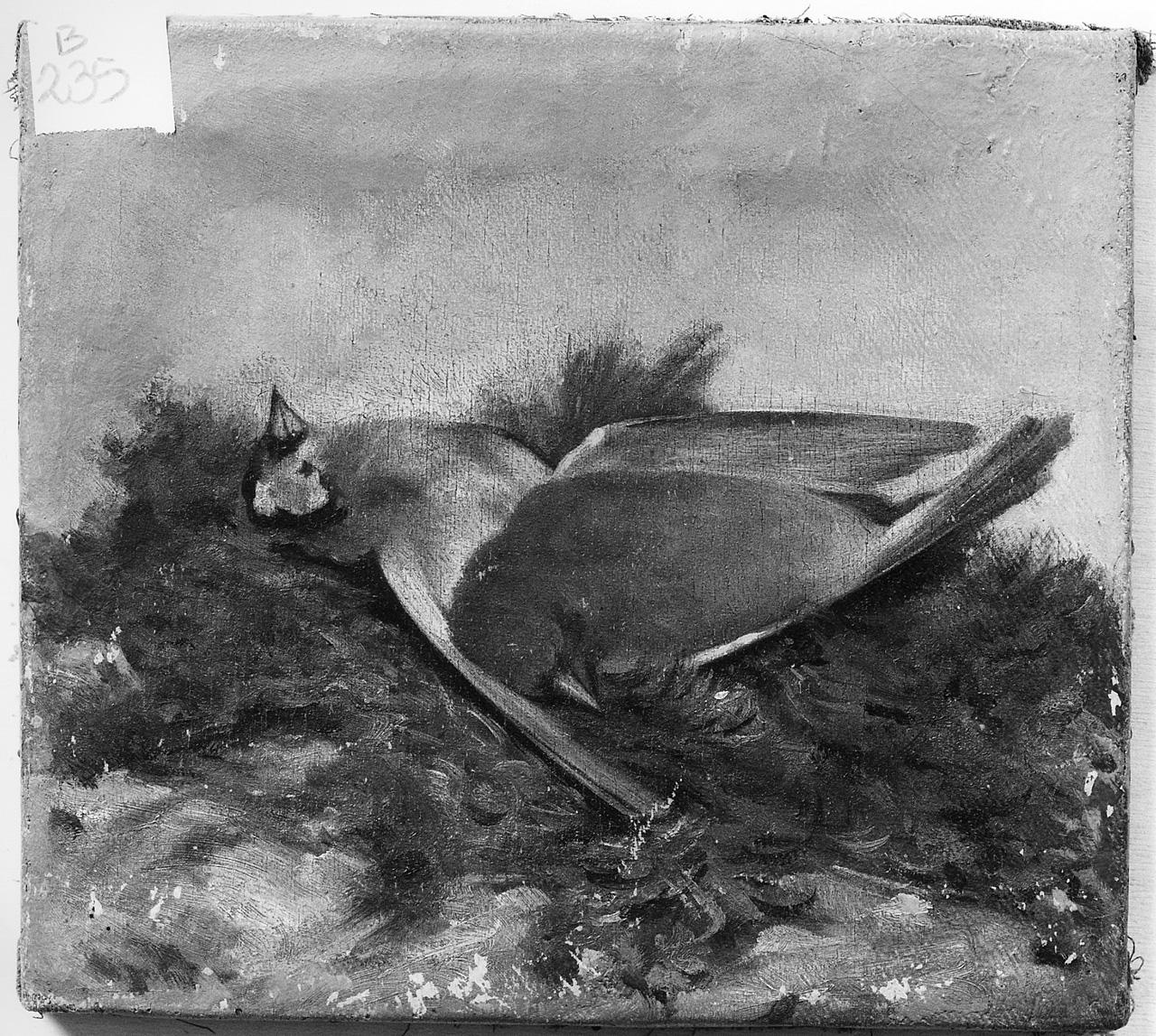 natura morta con cacciagione (dipinto) - ambito romano (seconda metà sec. XIX)