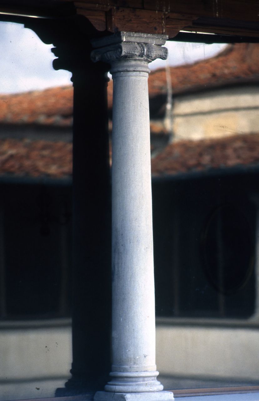 colonna ionica, serie - bottega fiorentina (sec. XV)