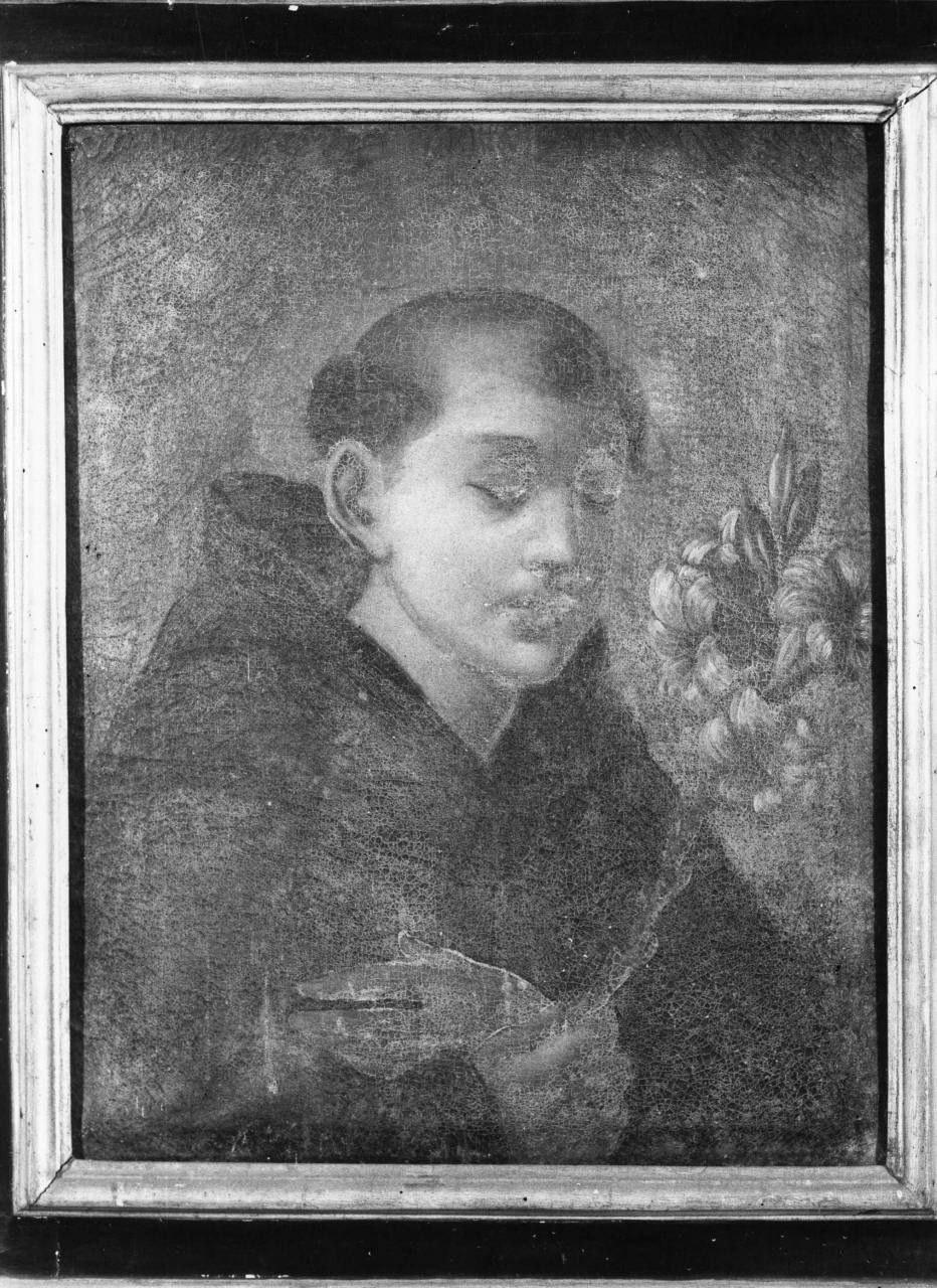 Sant'Antonio da Padova (dipinto) - ambito toscano (seconda metà sec. XVII)