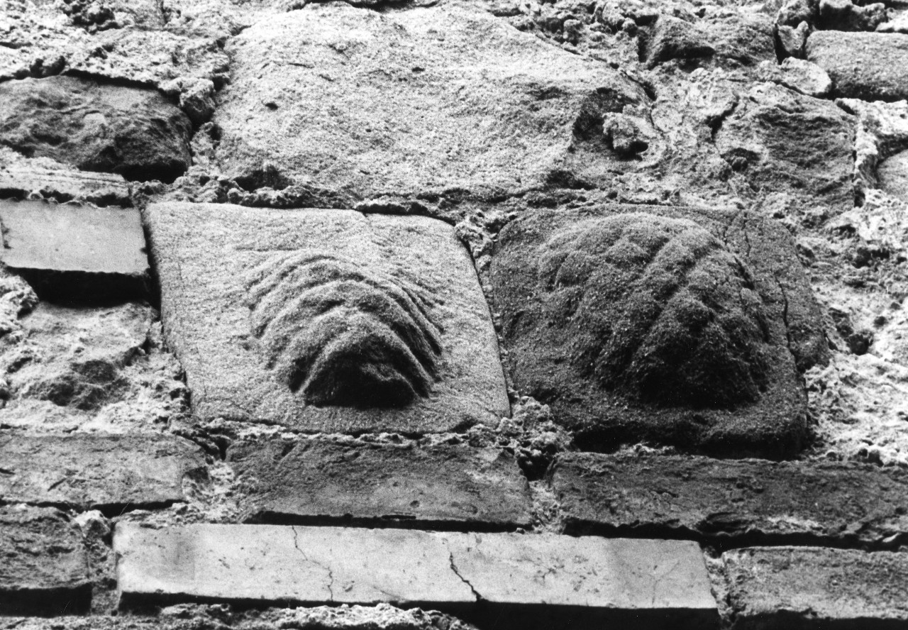 alare, coppia - manifattura toscana (secc. XVII/ XIX)