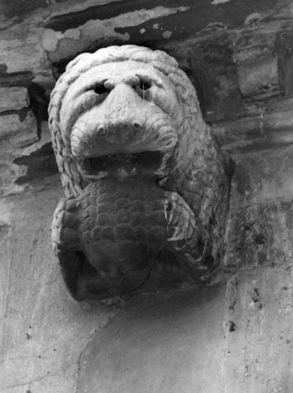 leone che regge una testa d'uomo tra le zampe (scultura) - bottega toscana (fine sec. XII)