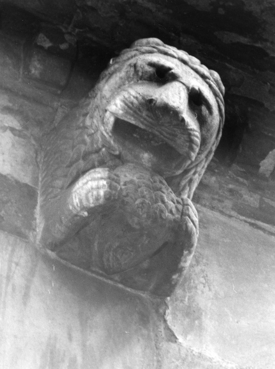 leone che regge una testa d'uomo tra le zampe (scultura) - bottega toscana (fine sec. XII)