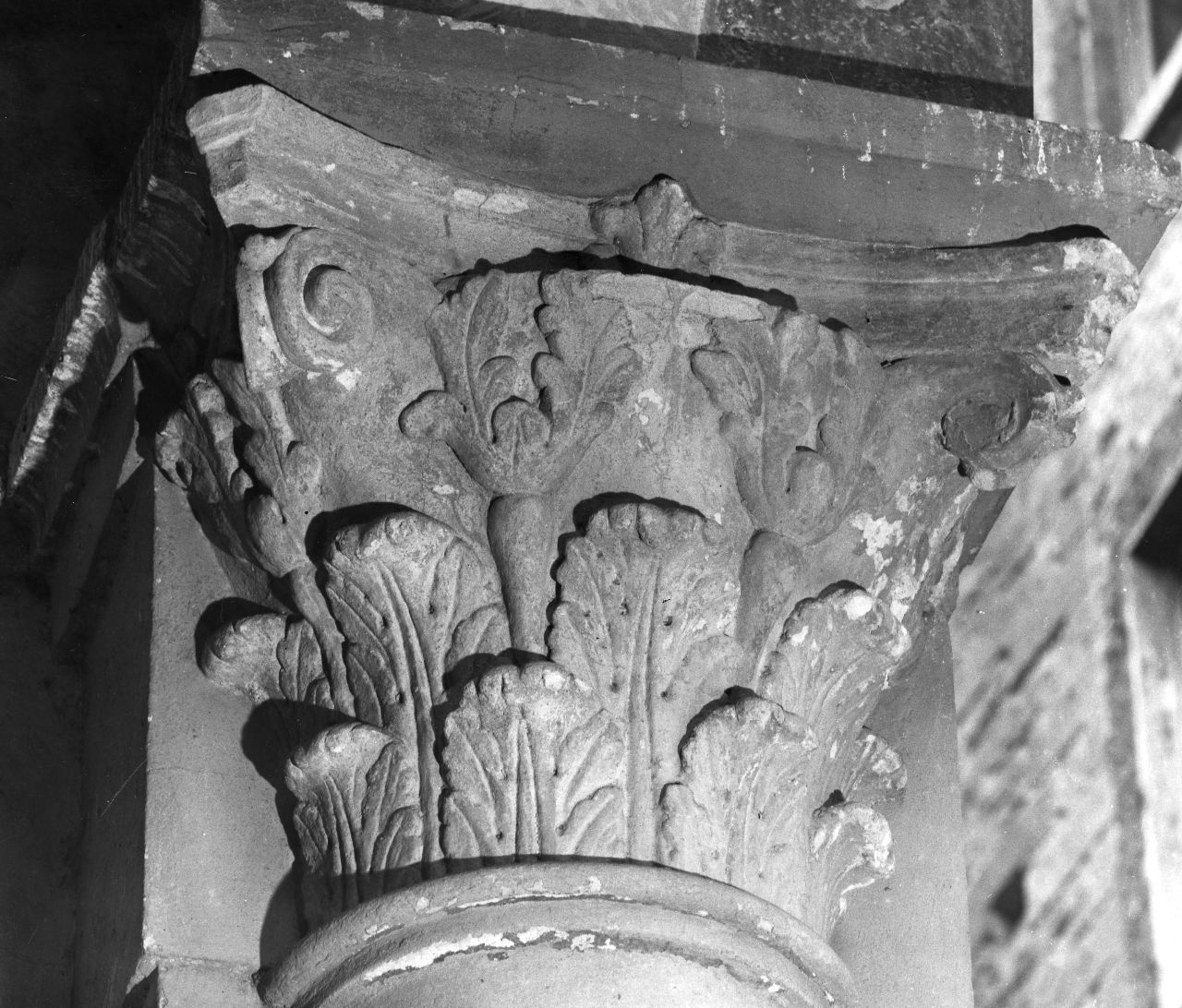 capitello, serie - bottega toscana (fine/inizio secc. XII/ XIII)