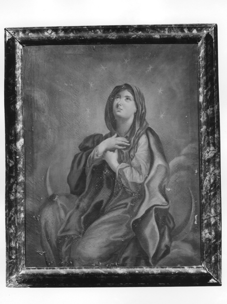 Madonna dello Studentato, Immacolata Concezione (dipinto) di Marchesini Pietro detto Ortolanino (sec. XVIII)