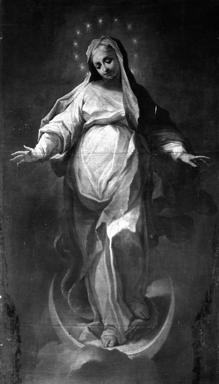 Immacolata Concezione (dipinto) di Sagrestani Giovanni Camillo (sec. XVIII)
