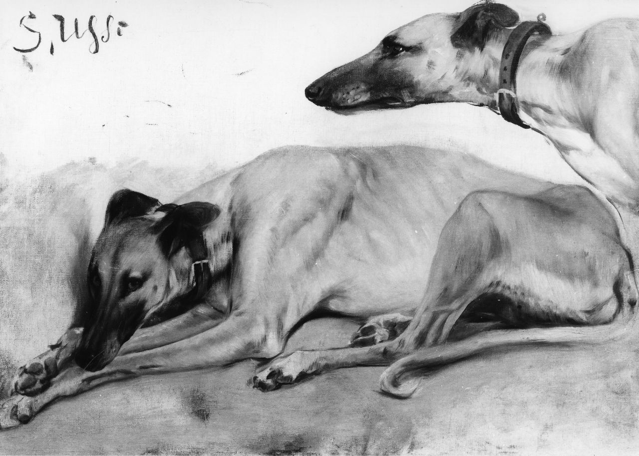 due levrieri (dipinto) di Ussi Stefano (sec. XIX)