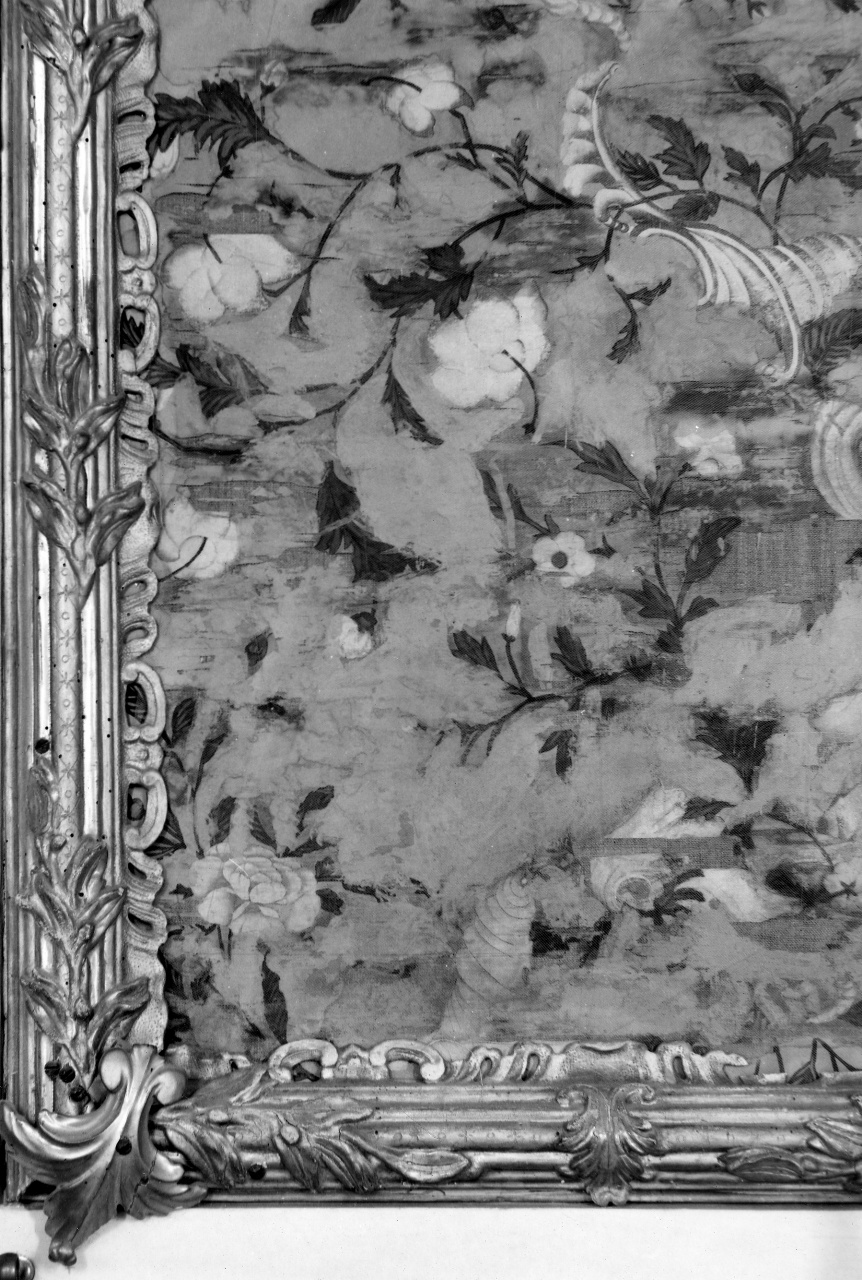 cornice di Dolci Giovan Battista (sec. XVIII)