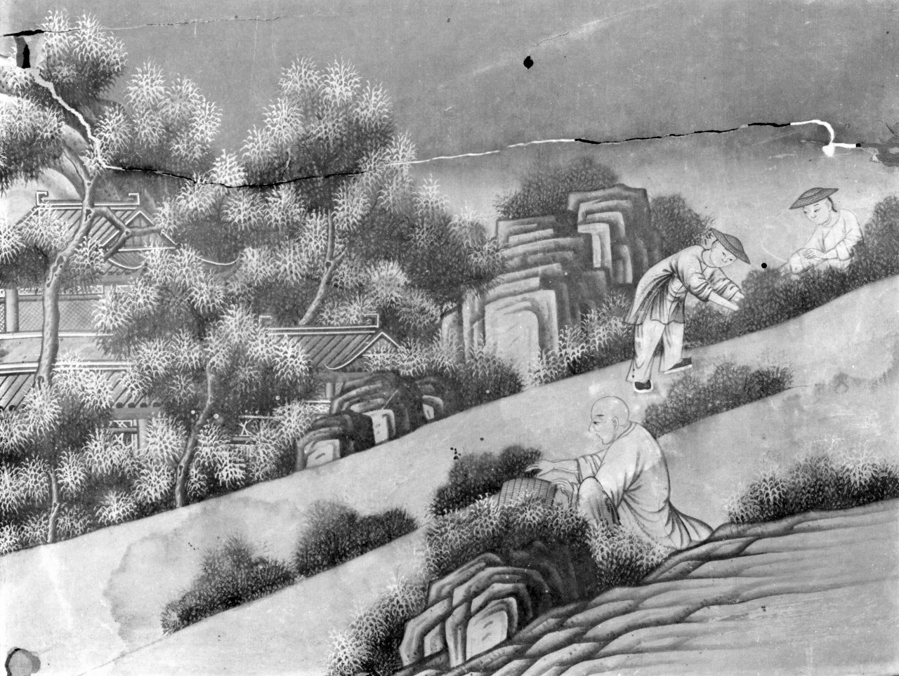 raccolta del tè (dipinto) - ambito cinese (sec. XVIII)