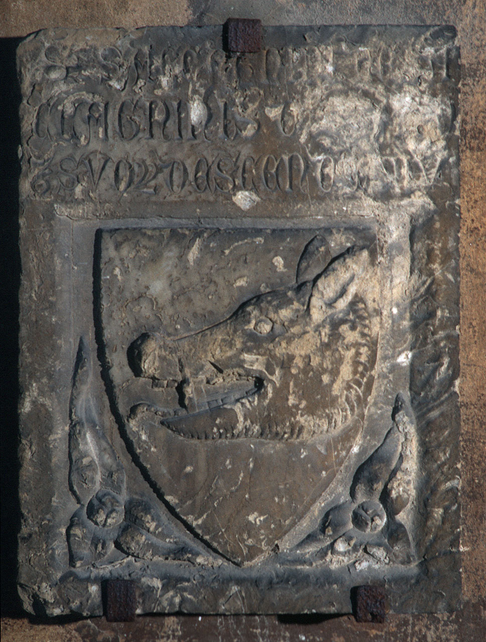 stemma gentilizio della famiglia Capacci (?) (lapide tombale) - produzione italiana (sec. XIV)