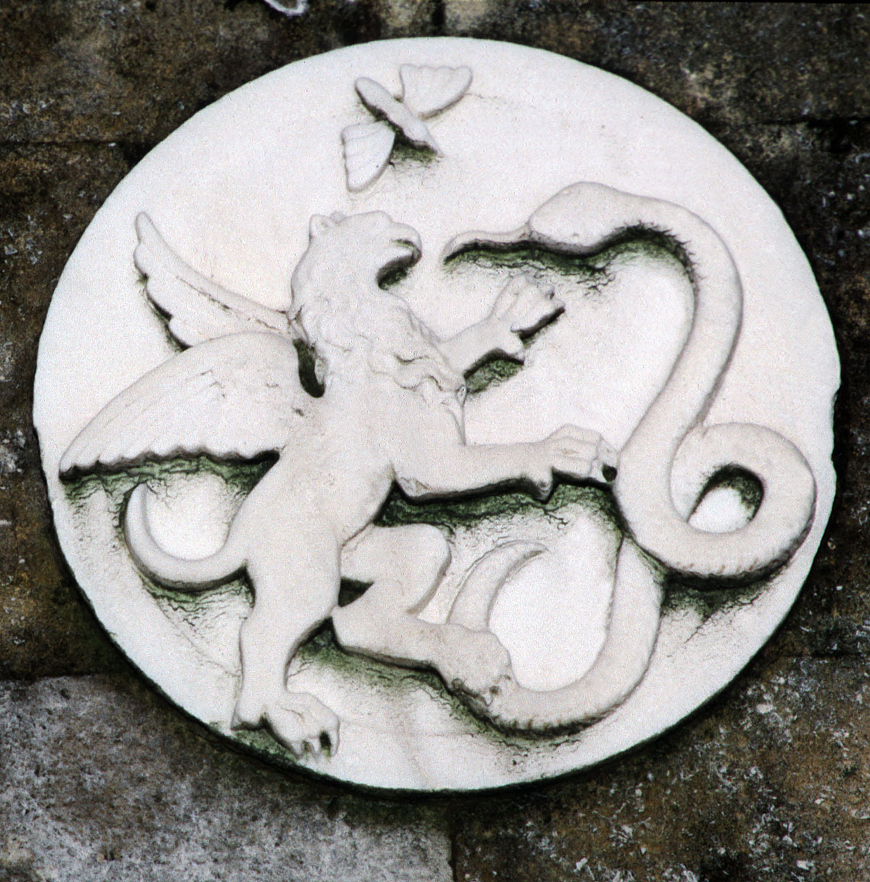 lotta di un leone alato con un serpente (rilievo) - bottega veneziana (?) (seconda metà sec. XIII)