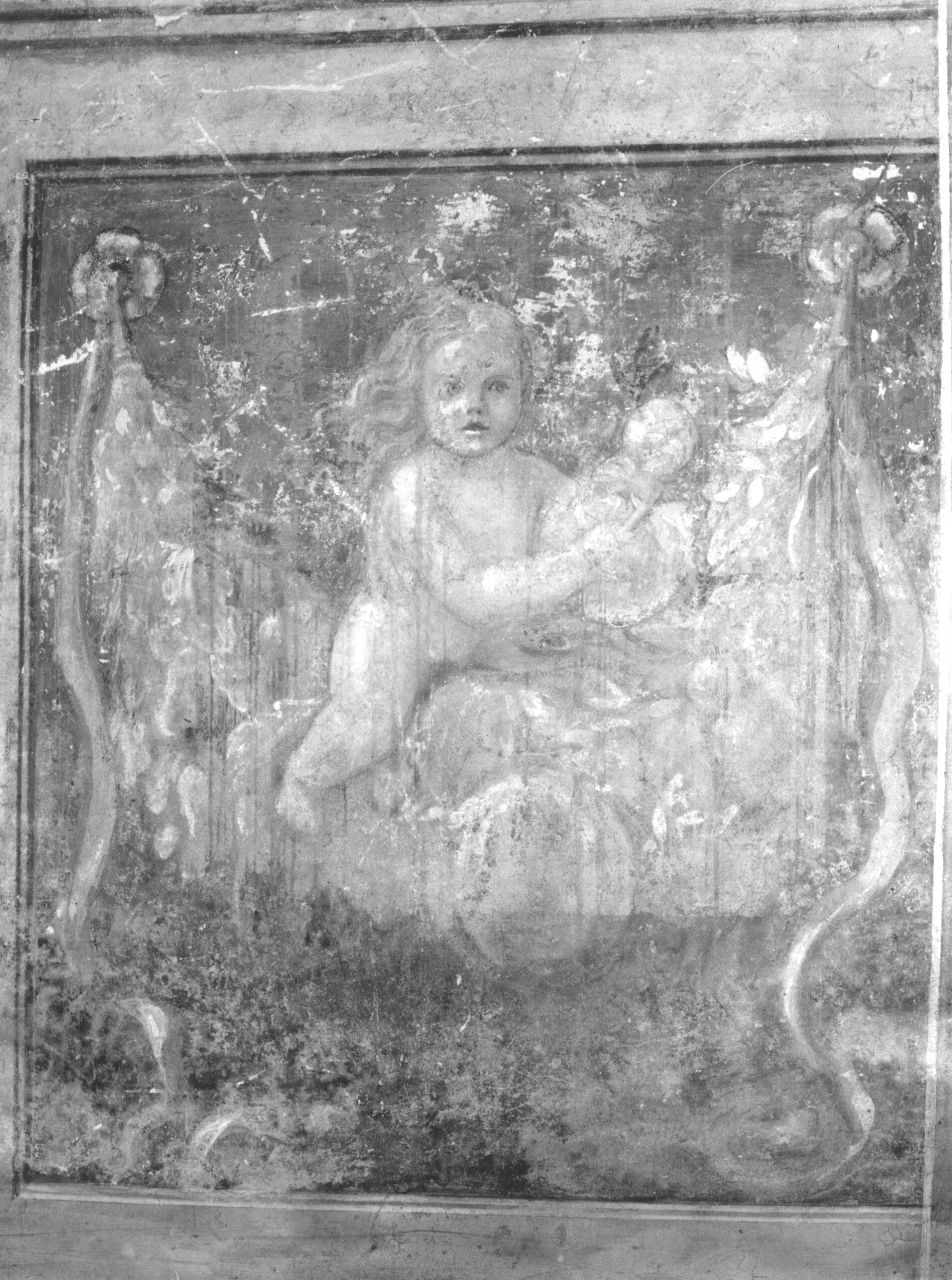 motivi decorativi vegetali a festoni con nastri e putti (dipinto, elemento d'insieme) di Mannozzi Giovanni detto Giovanni da San Giovanni (sec. XVII)