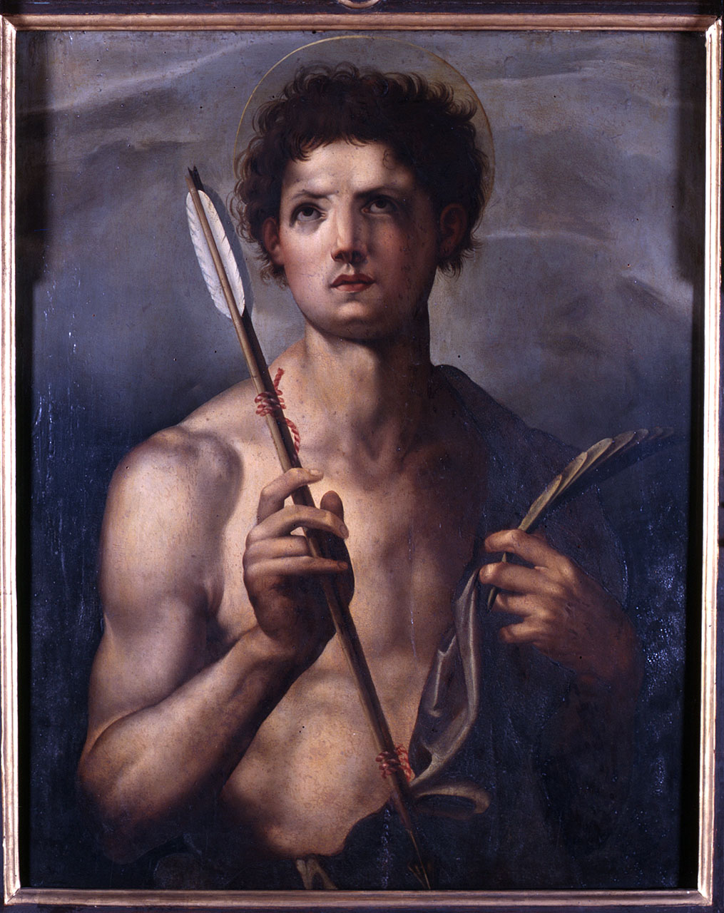 San Sebastiano (dipinto) di Andrea d'Agnolo detto Andrea del Sarto (maniera) (seconda metà sec. XVI)