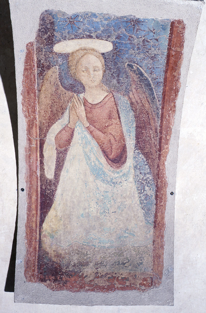 angelo in preghiera (dipinto) di Stefano d'Antonio di Vanni (attribuito) (terzo quarto sec. XV)