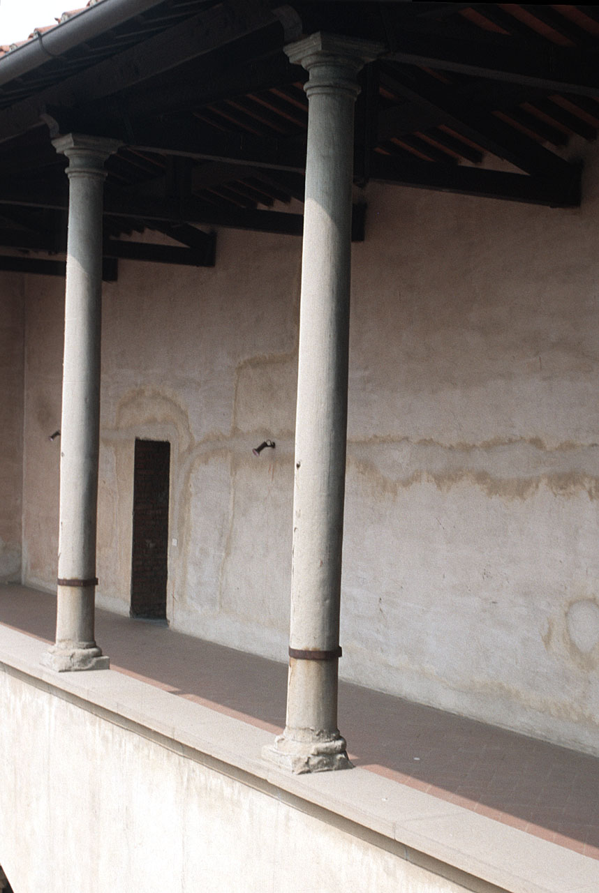 colonna, serie - bottega fiorentina (fine/inizio secc. XV/ XVI)