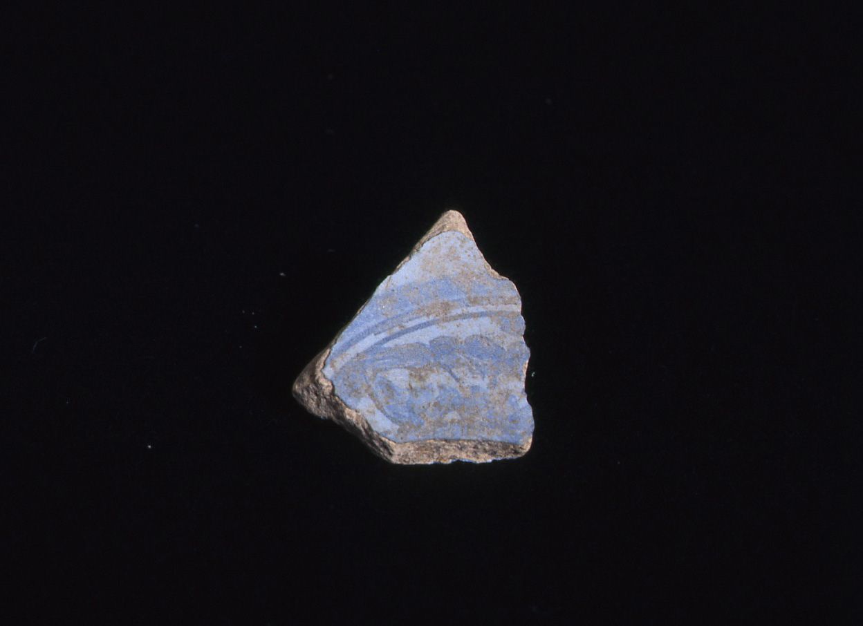 motivo decorativo floreale (piatto, frammento) - manifattura fiorentina (sec. XVI)