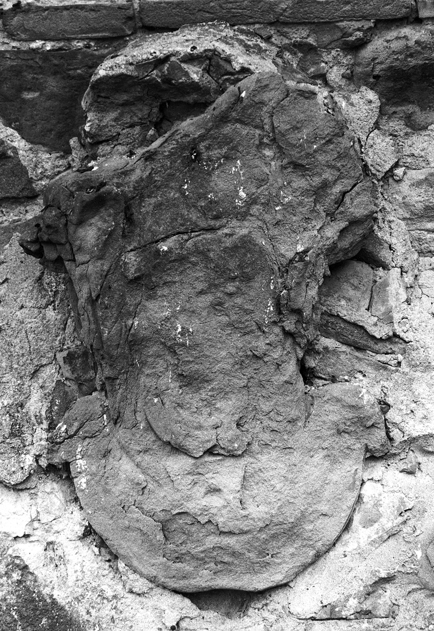 stemma gentilizio (rilievo) - ambito toscano (sec. XVII)