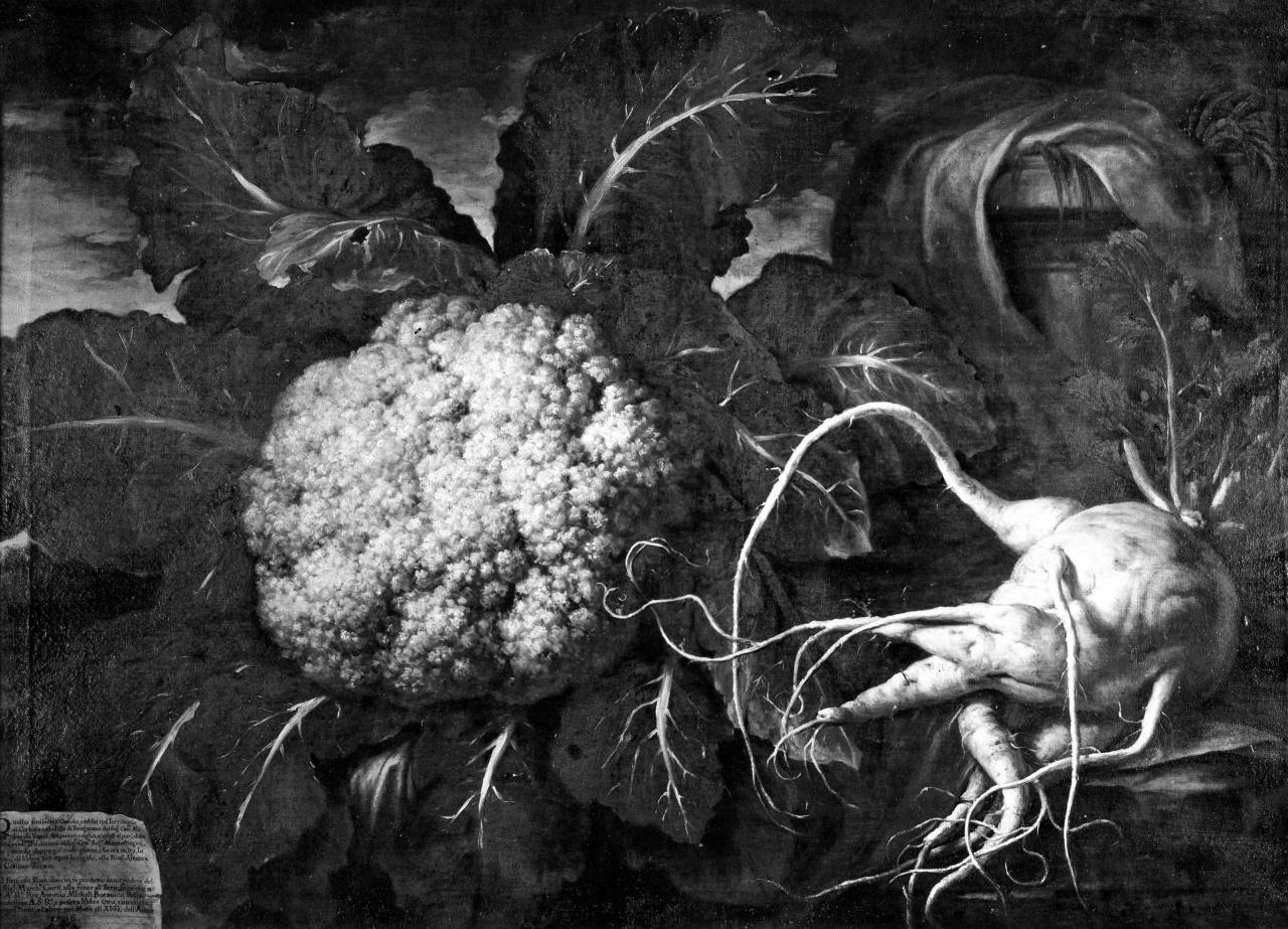 natura morta (dipinto) di Bimbi Bartolomeo (inizio sec. XVIII)