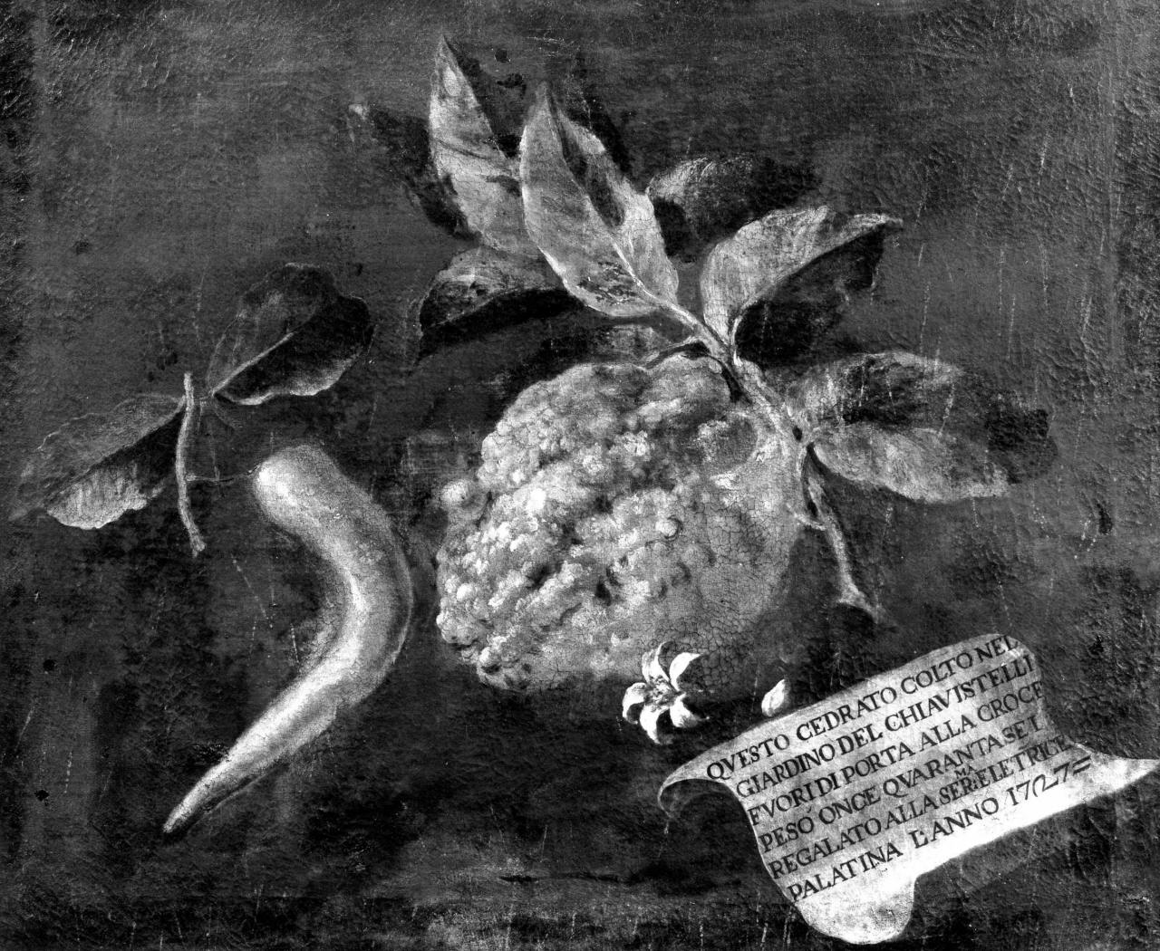 Natura morta con due cedri (dipinto) di Bimbi Bartolomeo (prima metà sec. XVIII)