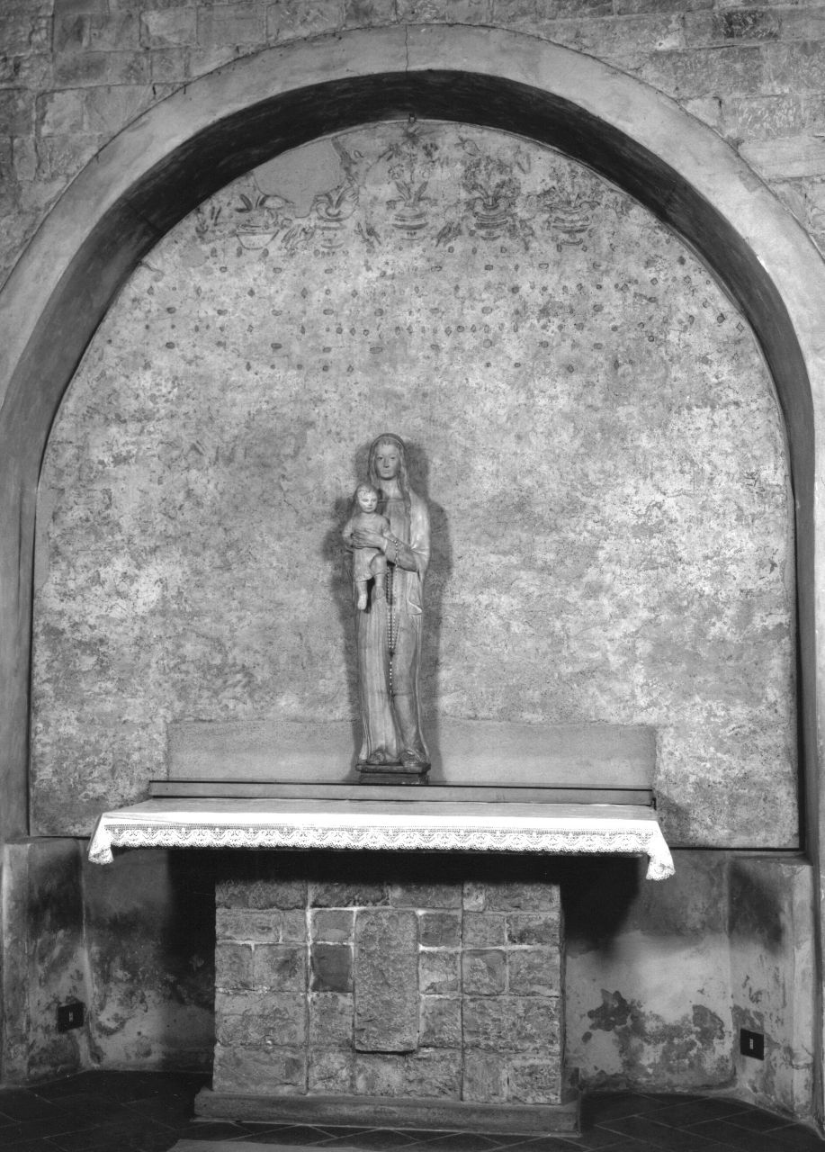 motivi decorativi vegetali (sinopia) - ambito fiorentino (metà sec. XVI)