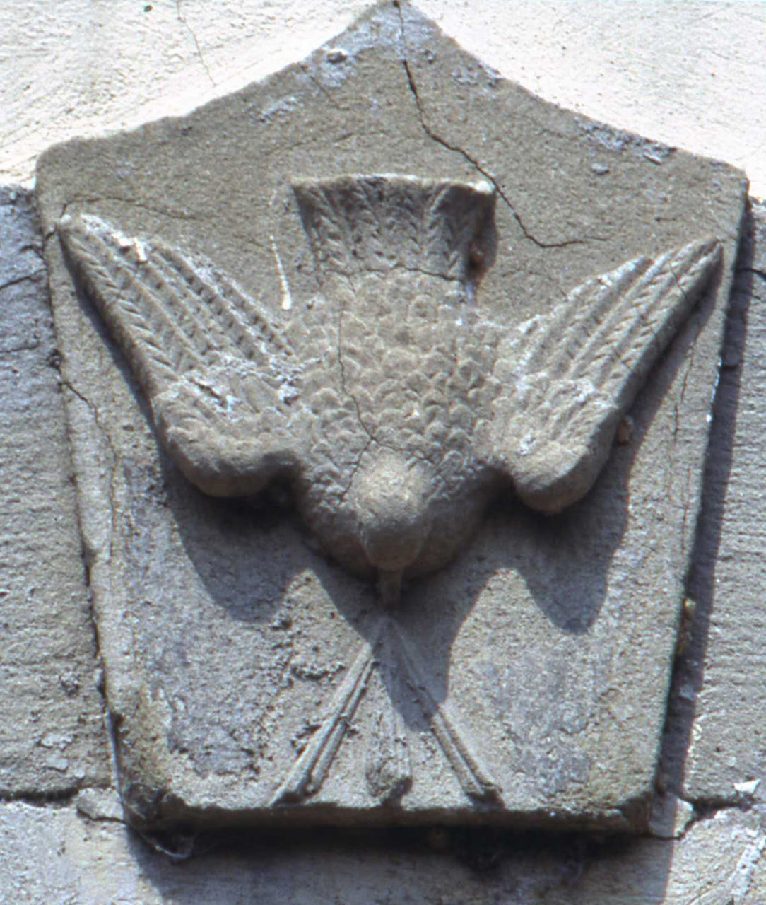 stemma della Compagnia di S. Maria del Piccione (?) (rilievo) - manifattura toscana (sec. XVII)