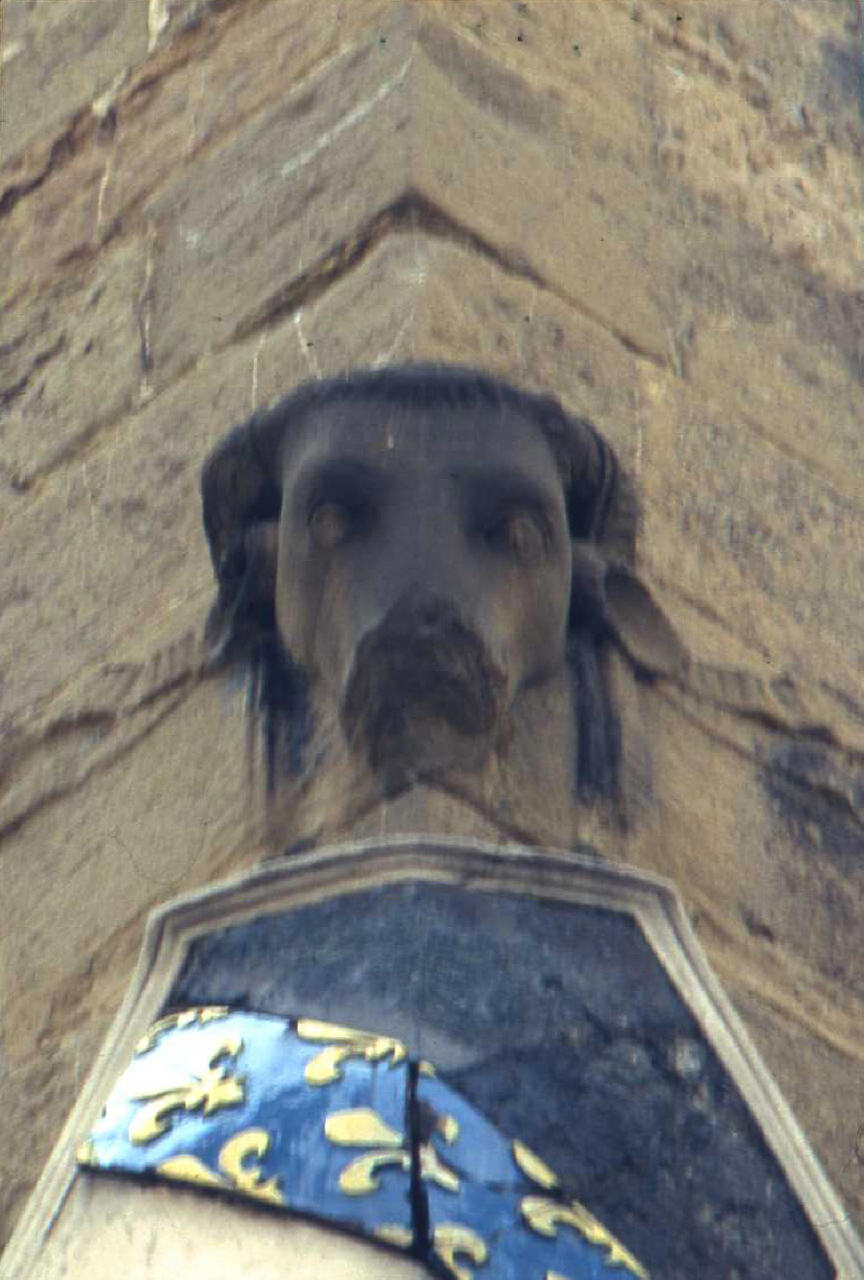 bucranio (rilievo) di Maso di Bartolommeo (attribuito) (metà sec. XV)