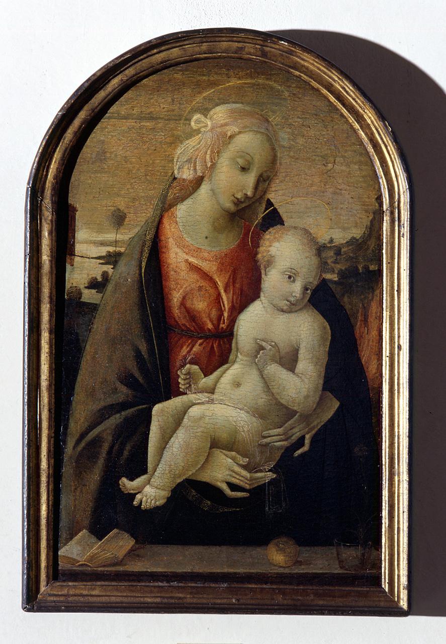 Madonna con Bambino (dipinto) di Pacchiarotti Giacomo (cerchia) (prima metà sec. XVI)