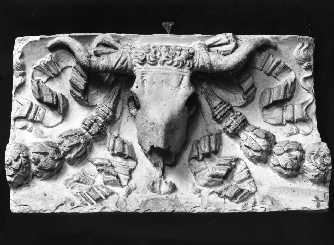 bucranio (calco) - ambito fiorentino (sec. XIX)