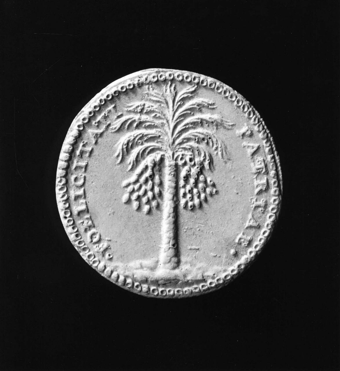 palma con frutti (calco di medaglia) di Lelli Oronzio (bottega) (sec. XIX)