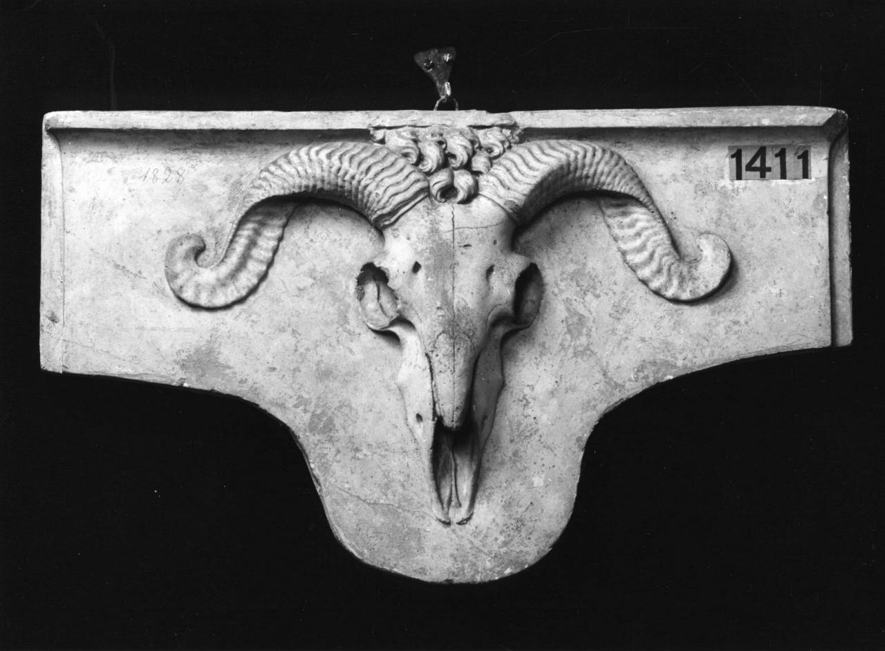 bucranio (calco di formella, elemento d'insieme) di Lelli Oronzio (bottega) (sec. XIX)