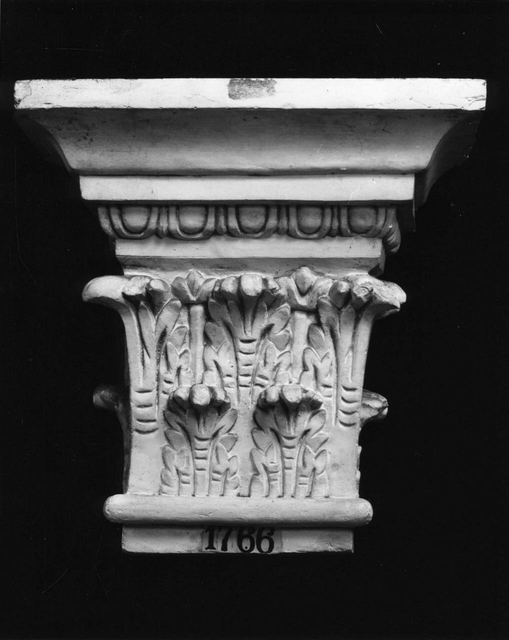 motivi decorativi a foglie d'acanto (calco, elemento d'insieme) di Lelli Oronzio (bottega) (sec. XIX)