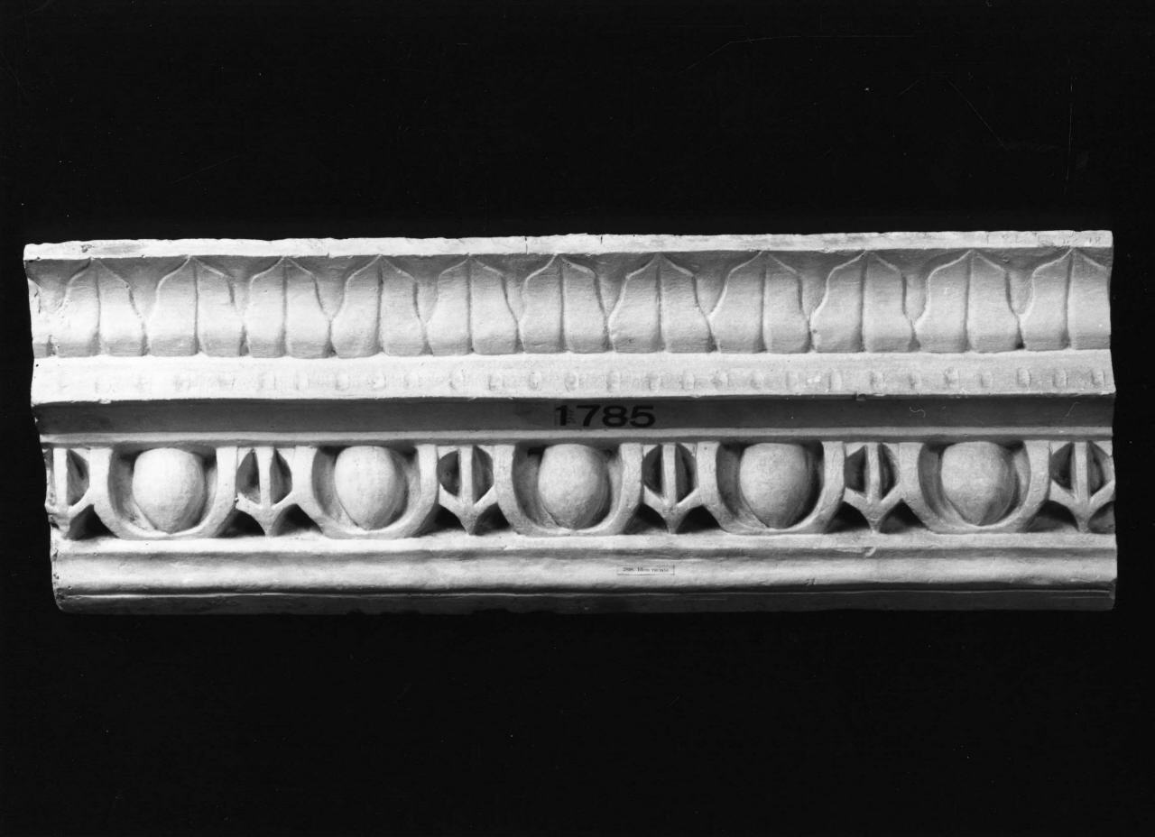 motivi decorativi a ovoli e foglie stilizzate (calco, elemento d'insieme) di Lelli Oronzio (bottega) (sec. XIX)