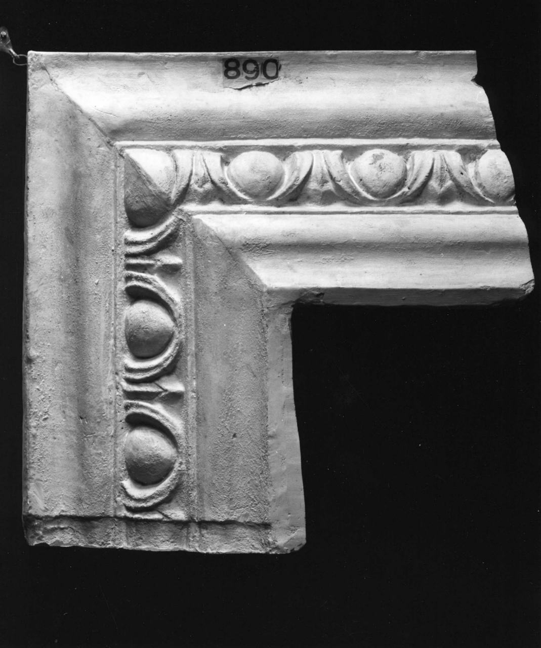 motivi decorativi a ovoli (calco, frammento) di Lelli Oronzio (bottega) (sec. XIX)