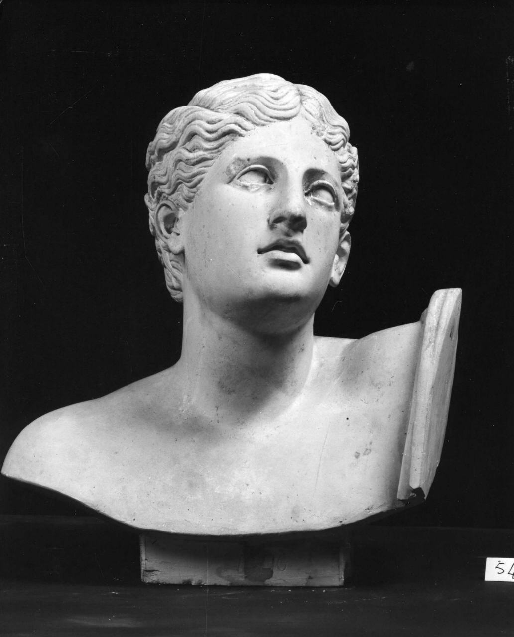 Pothos (calco di scultura, elemento d'insieme) - ambito toscano (sec. XX)