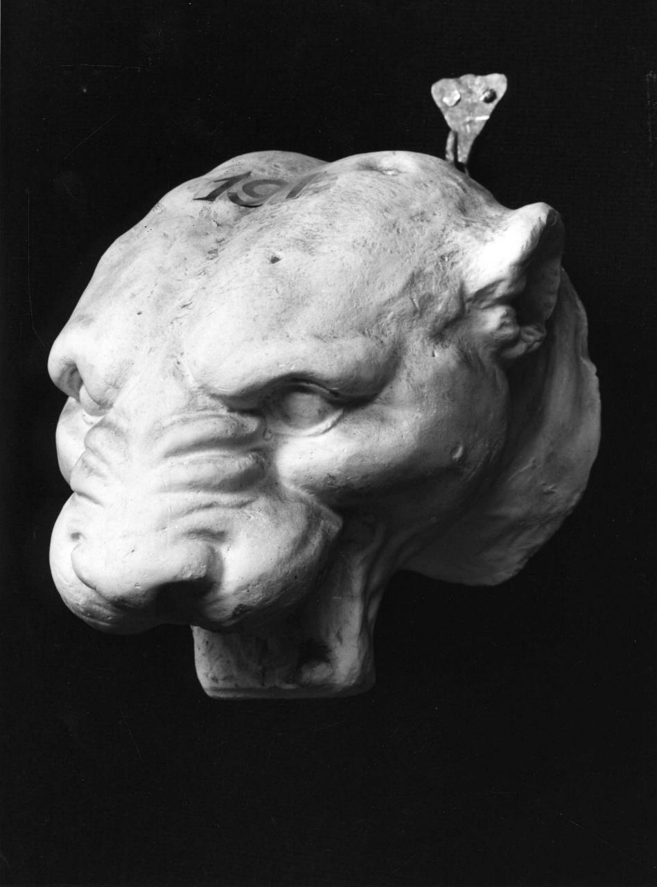 protome leonina (calco, elemento d'insieme) di Lelli Oronzio (bottega) (sec. XIX)