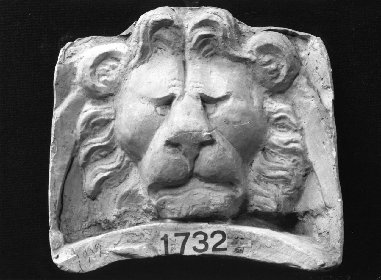 protome leonina (calco, elemento d'insieme) di Lelli Oronzio (bottega) (sec. XIX)