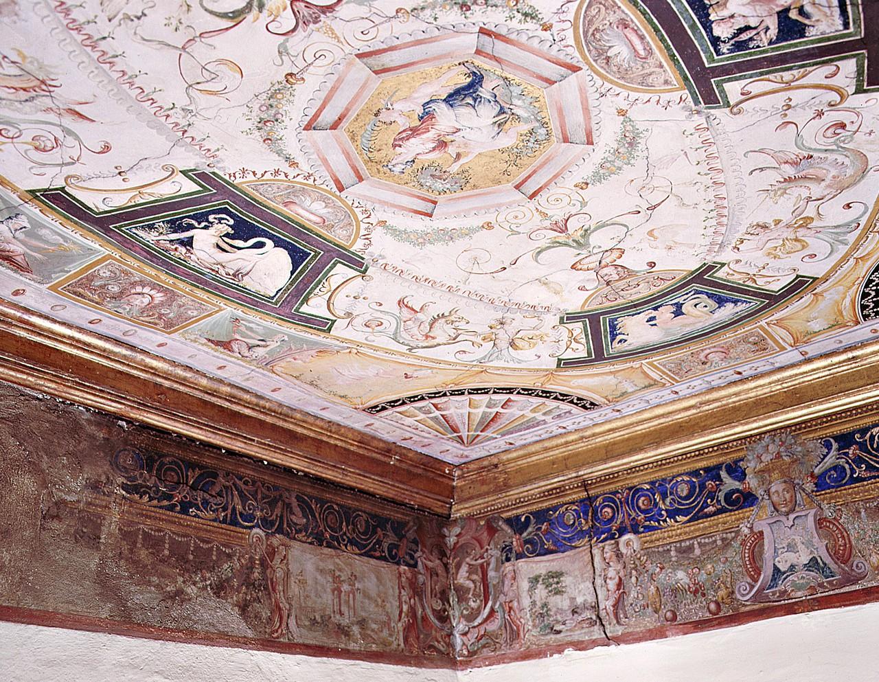 motivi decorativi a grottesche (dipinto, ciclo) di Salviati Francesco (sec. XVI)