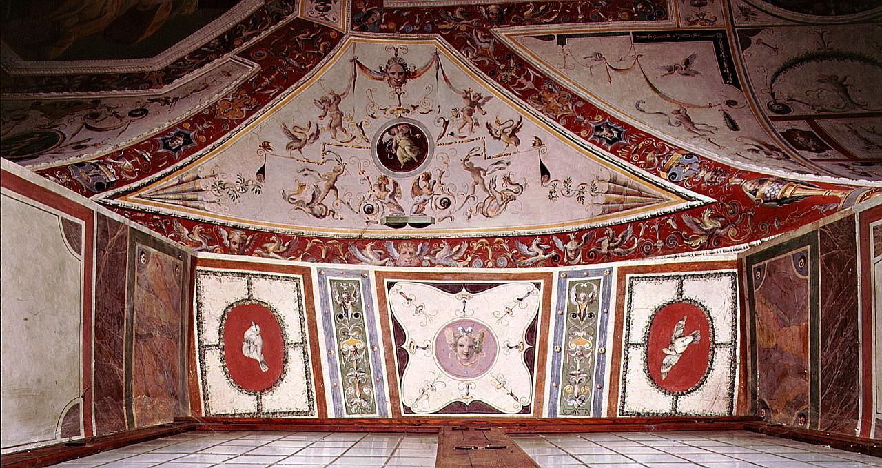 motivi decorativi a grottesche (dipinto) di Sabatini Lorenzo detto Lorenzino da Bologna (sec. XVI)