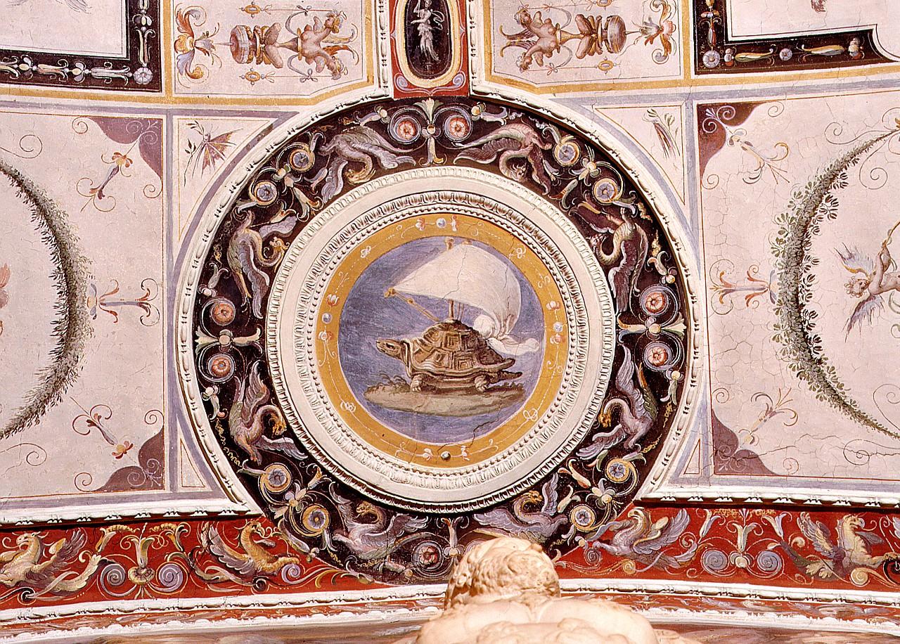 impresa di Cosimo I de' Medici: tartaruga con la vela (dipinto) di Sabatini Lorenzo detto Lorenzino da Bologna (sec. XVI)