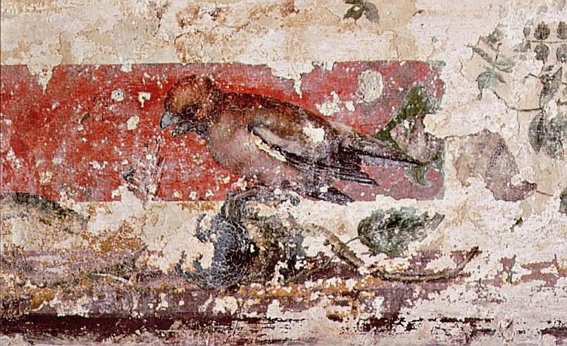 animali e uccelli (dipinto, ciclo) di Bachiacca (sec. XVI)