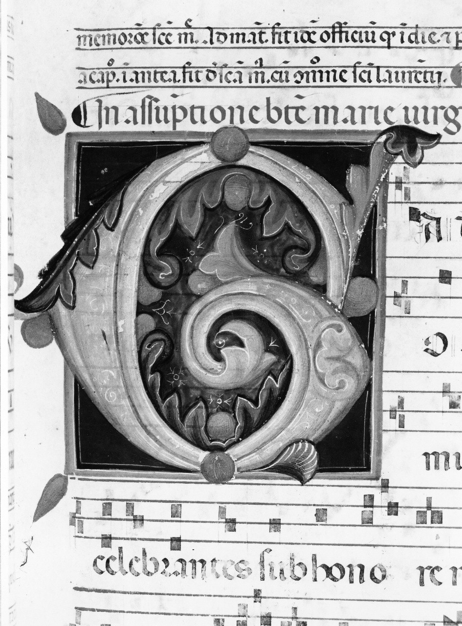 miniatura di Pacino di Buonaguida (scuola) (sec. XIV)