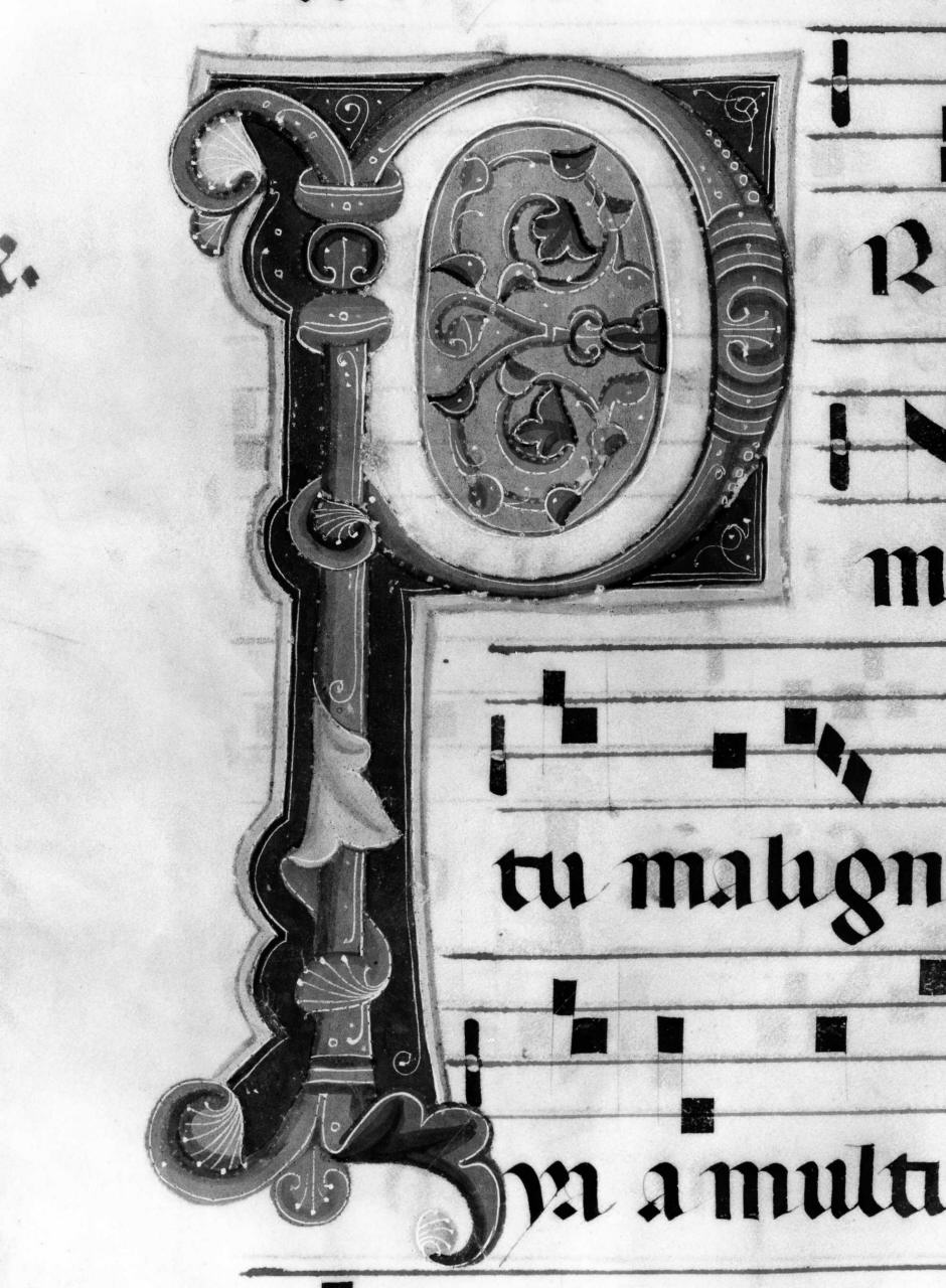 lettera P (miniatura) di Primo Maestro di S. Eugenio, Secondo Maestro di S. Eugenio (sec. XIV)