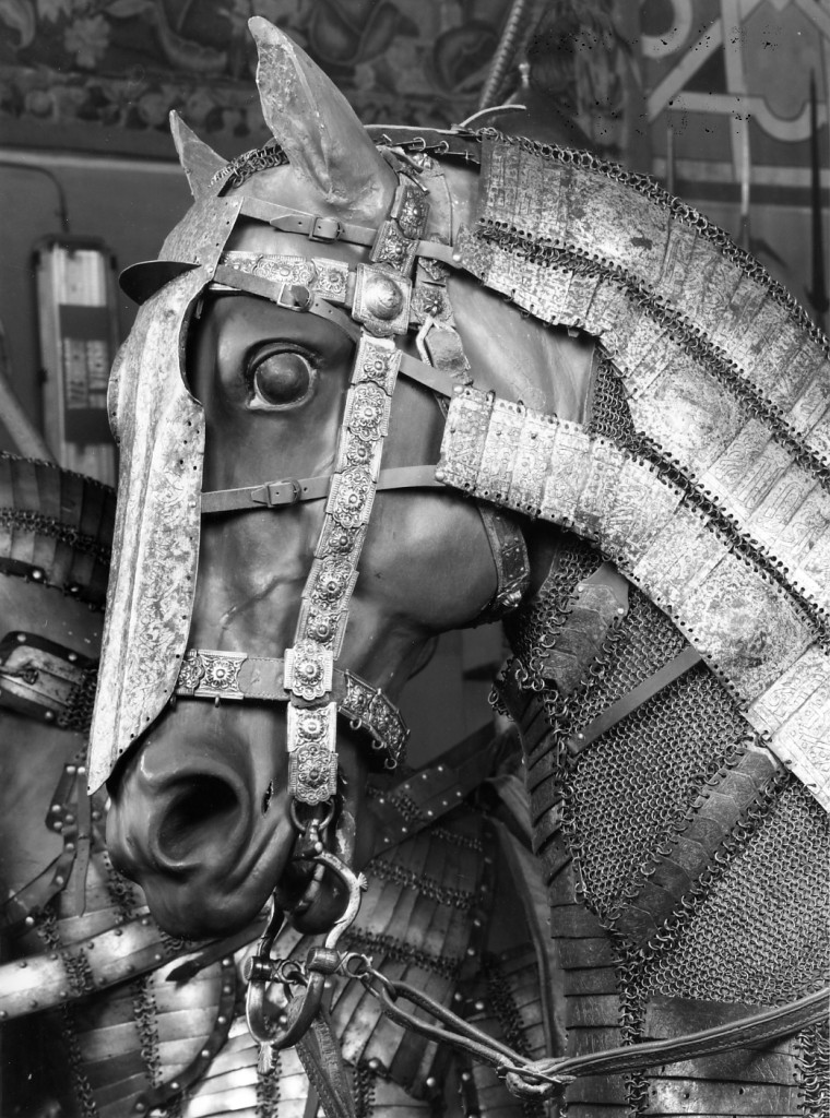 cavallo (manichino) di Giovanetti Giovanni (sec. XIX)