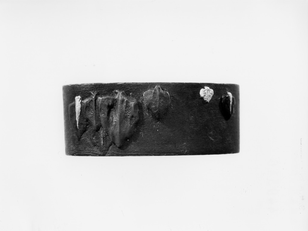 alberi stilizzati (ghiera per impugnatura - fuchi, elemento d'insieme) di Mitsuoki - scuola Otsuki (ultimo quarto sec. XVIII)