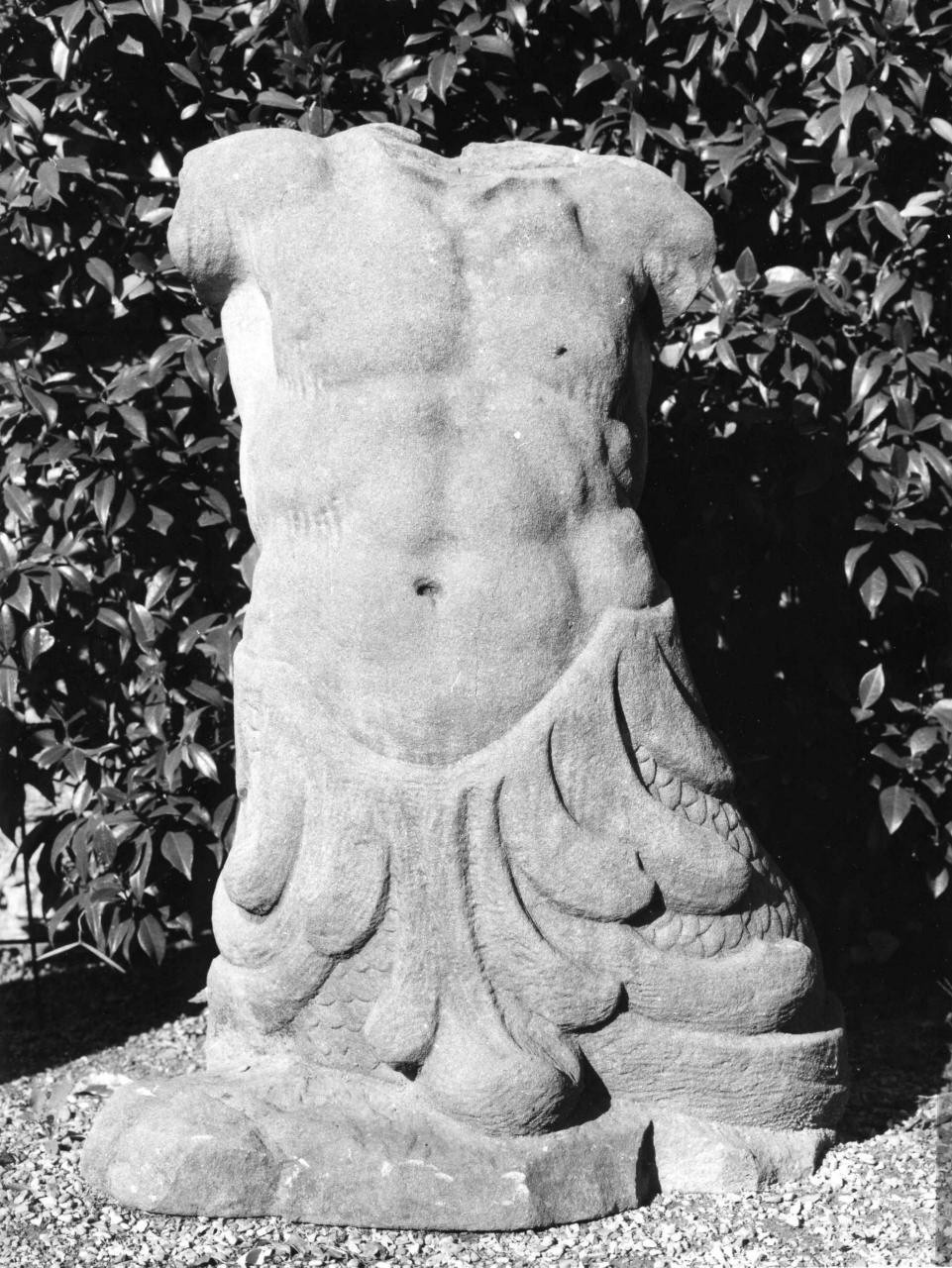 Tritone (statua, frammento) di Monaccorti Paolo (sec. XVIII)
