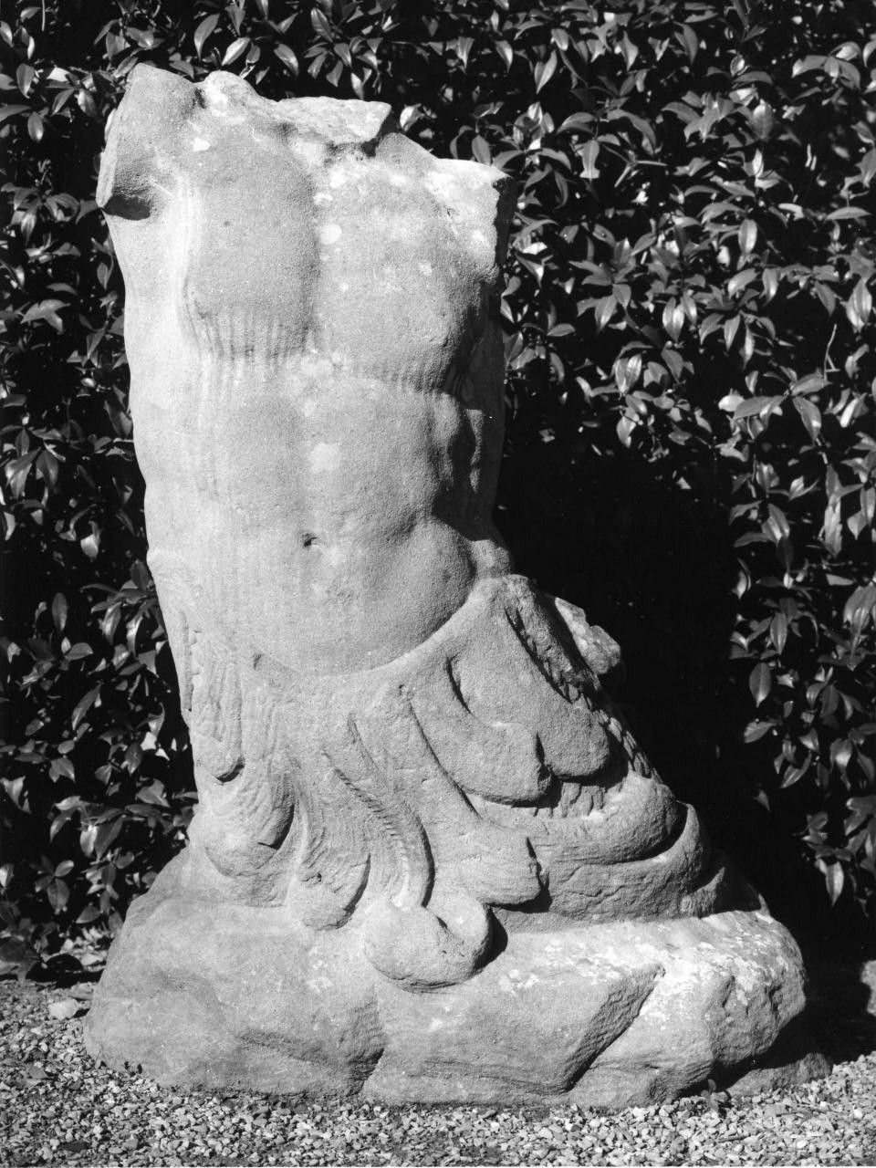 Tritone (statua, frammento) di Monaccorti Paolo (sec. XVIII)